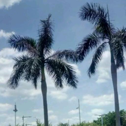 不忘初心方得始终