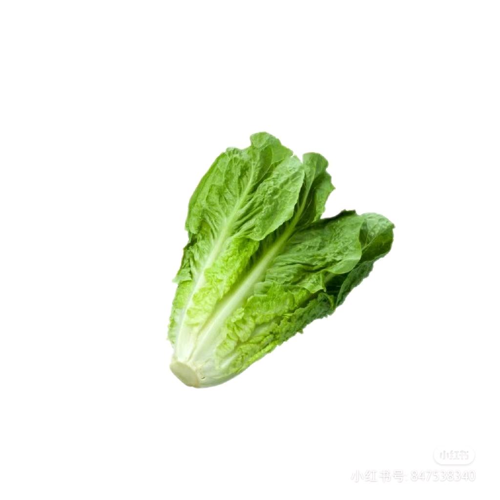 王宝珠