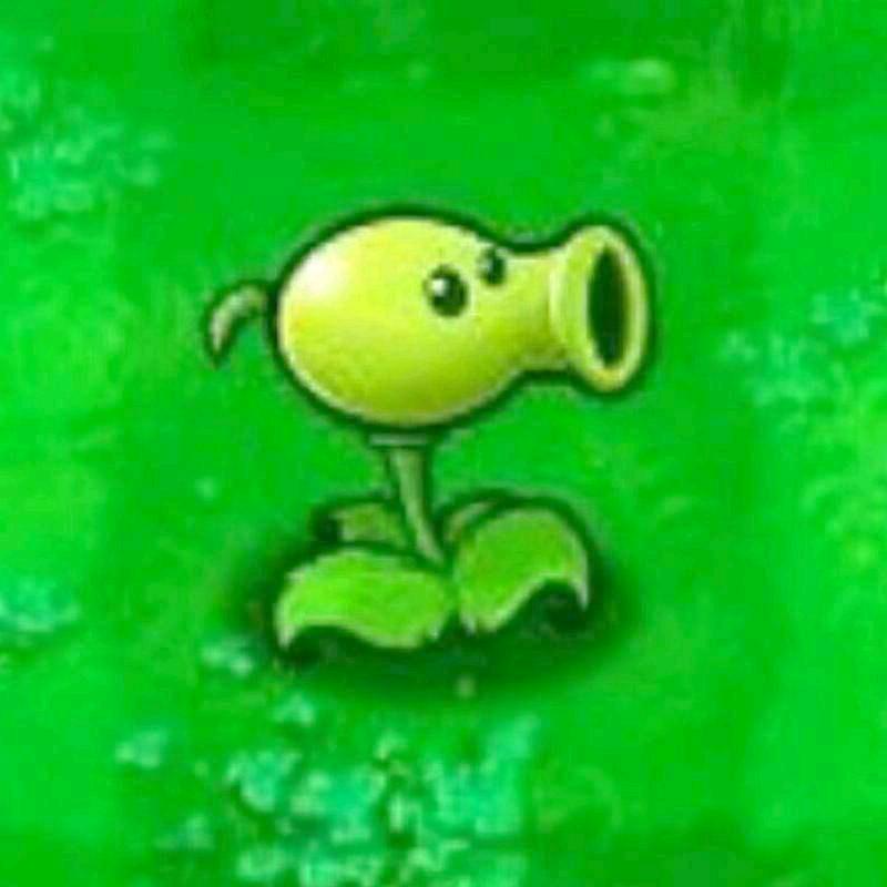 Pea shooter豌豆射手(pvz)