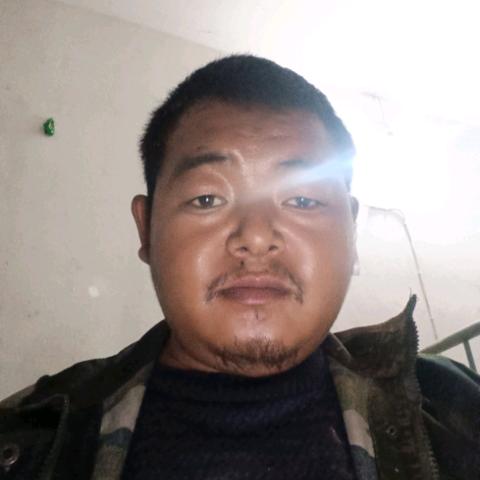 网事随风