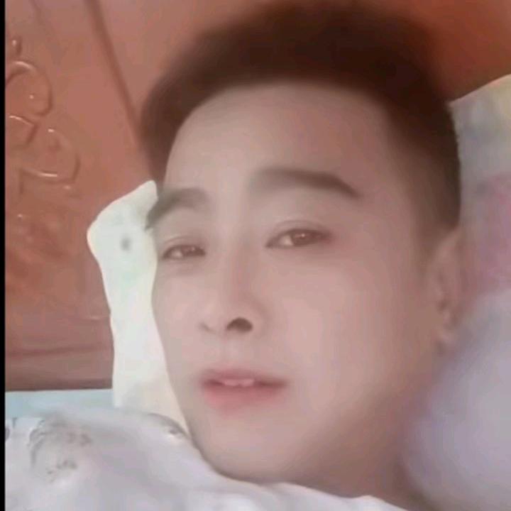🌹爱你不后悔🌹