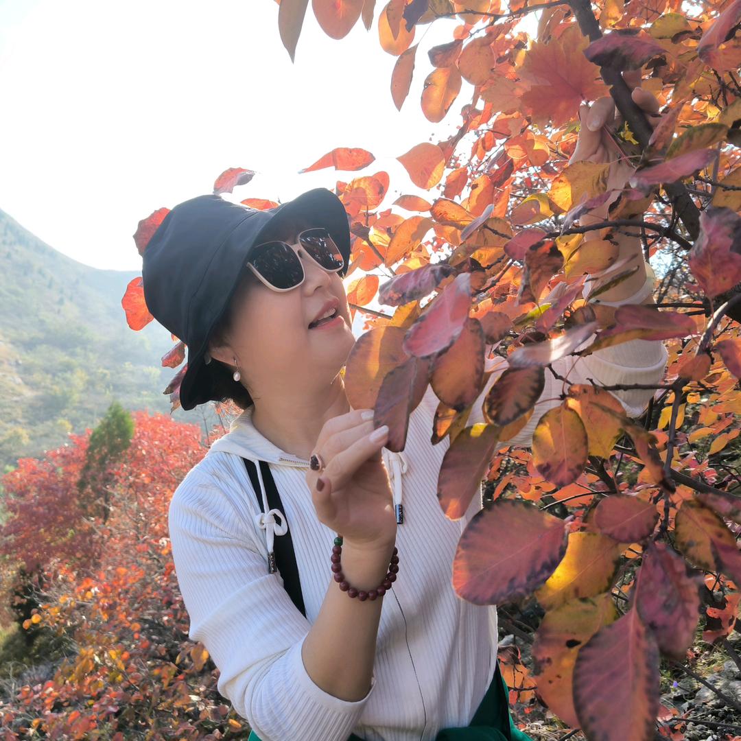 婉莹