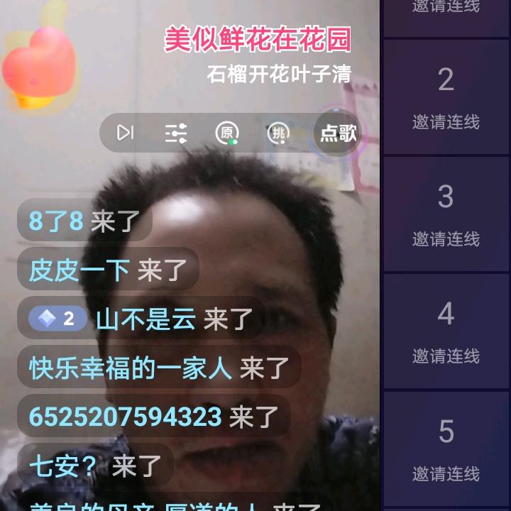 风的叶