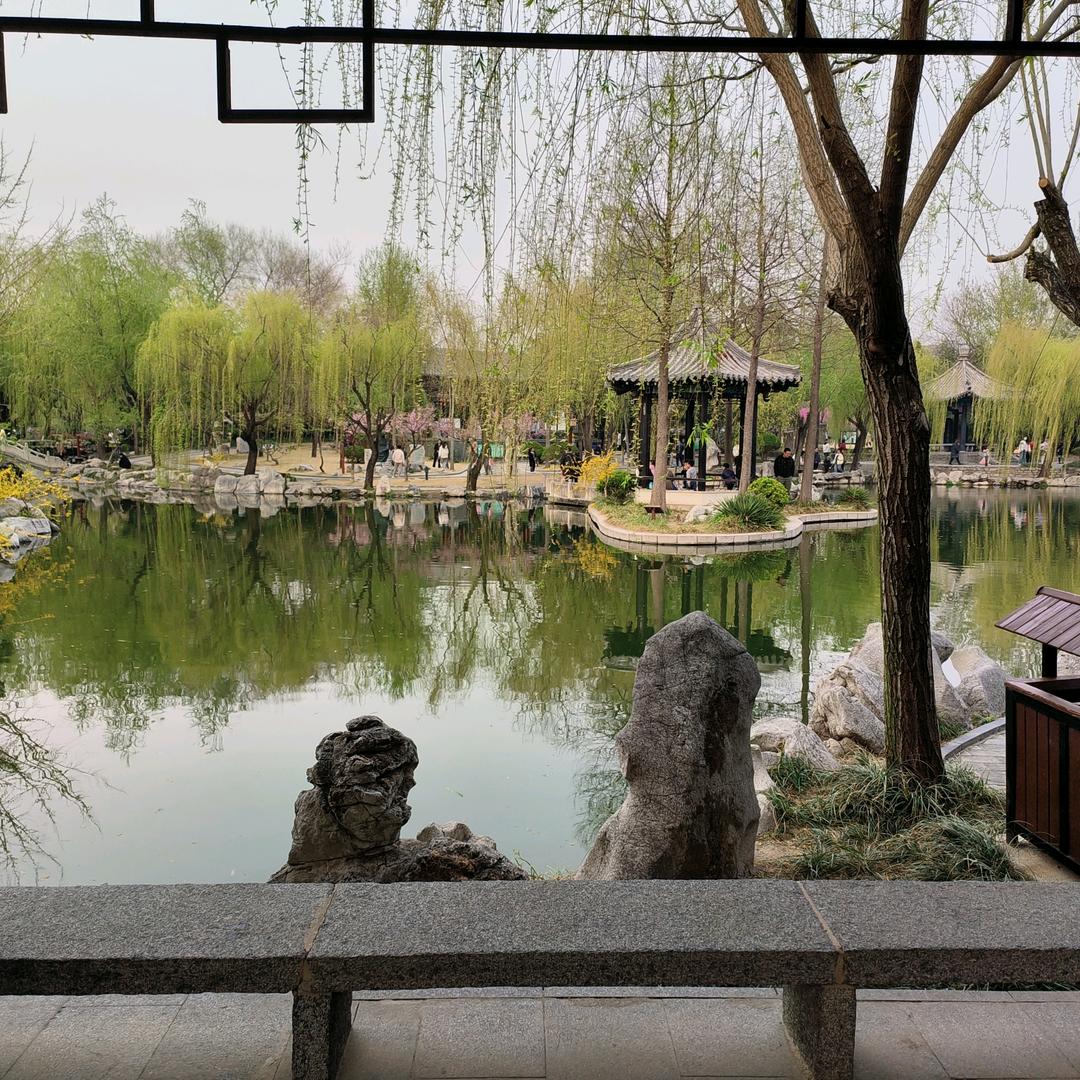 大路软件开发