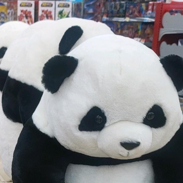 陈豆豆