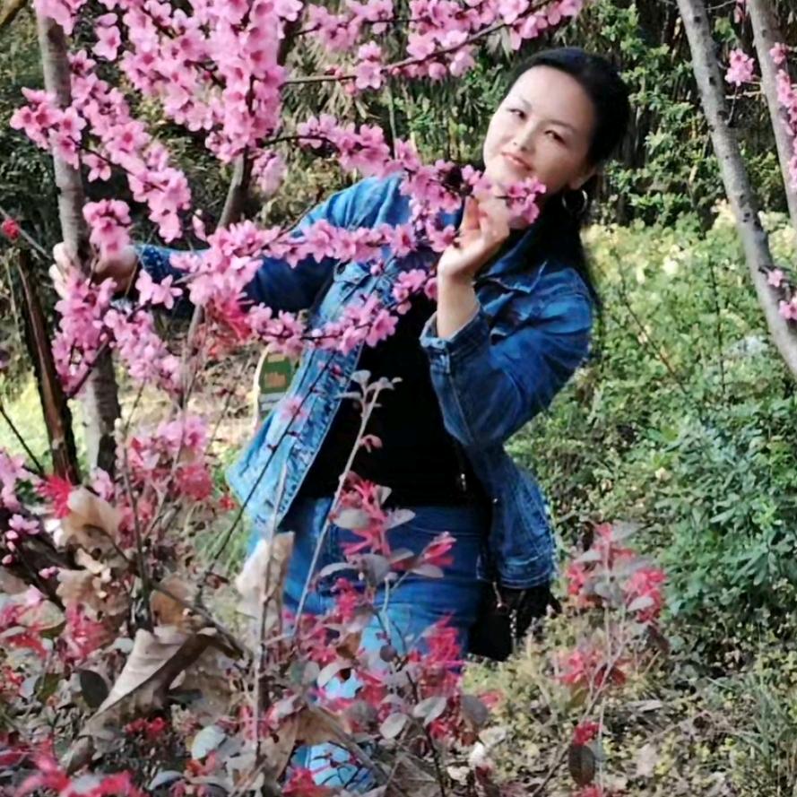 燕子爱上运动