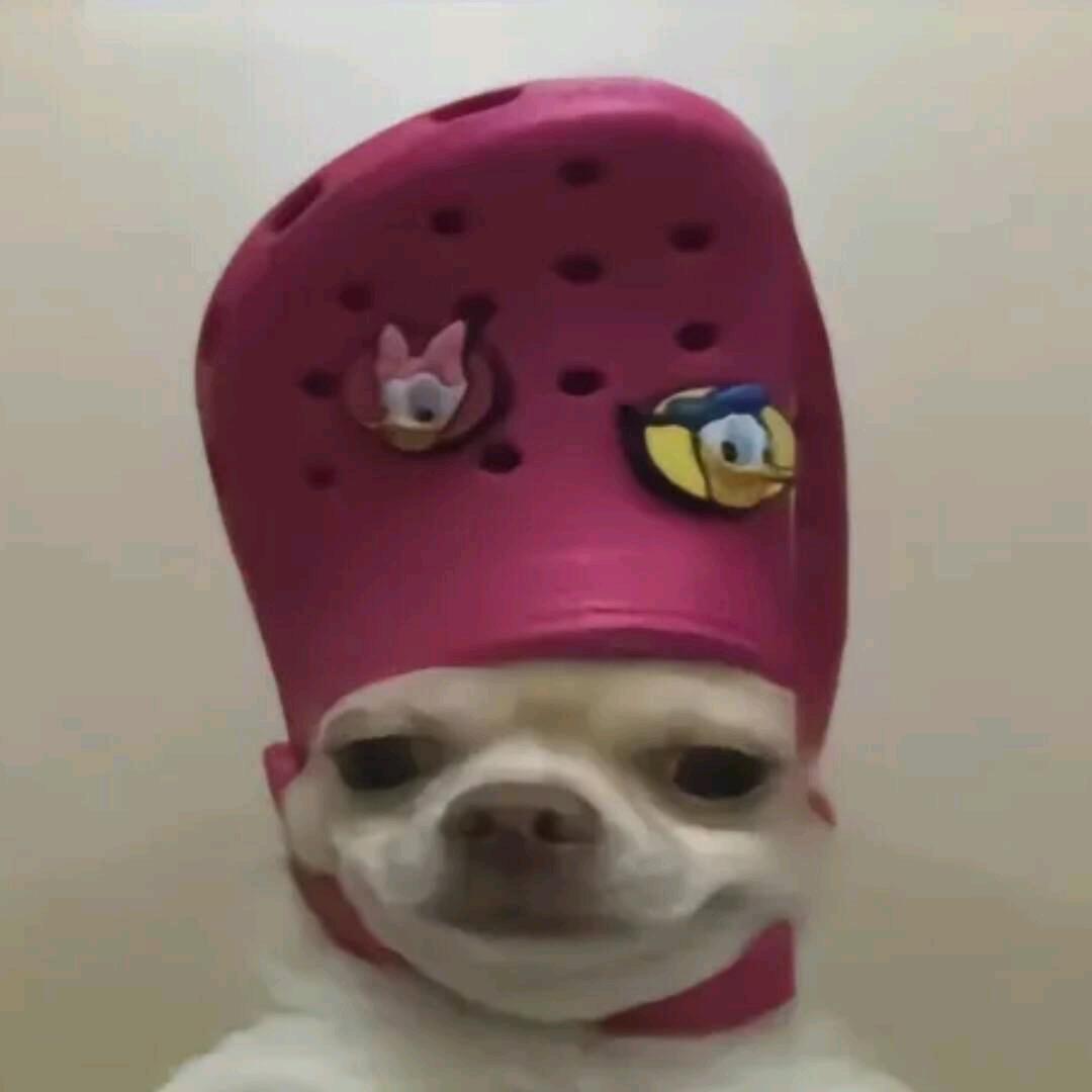 乂氼