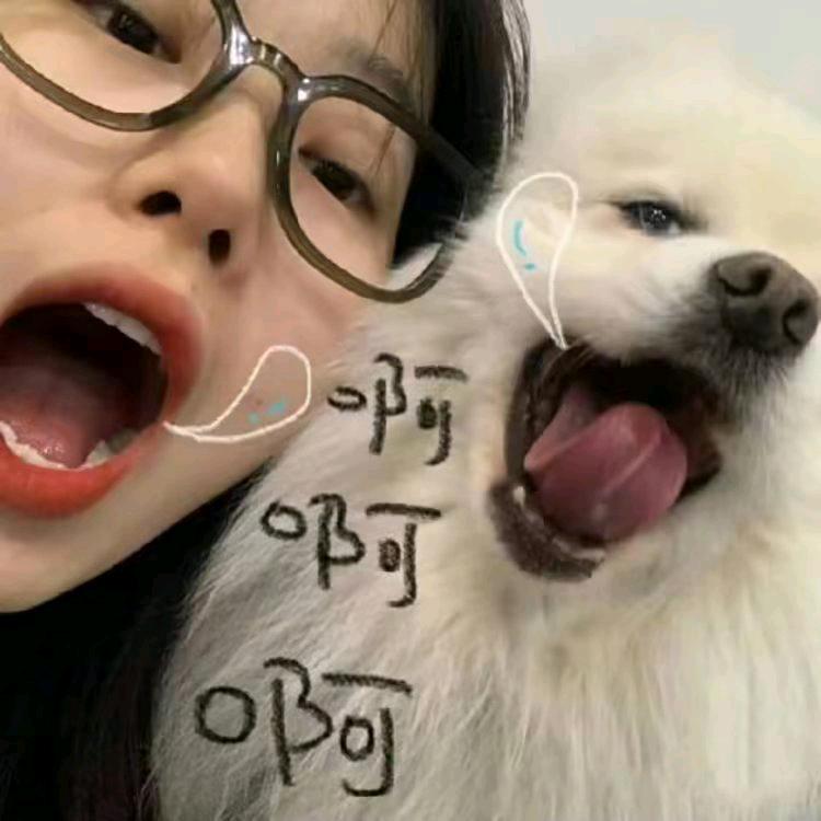 多吃点^_^🐍
