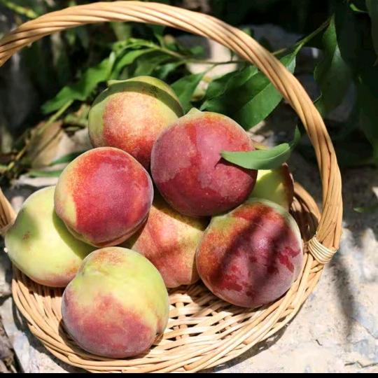 就叫陈乾乾乾啊～