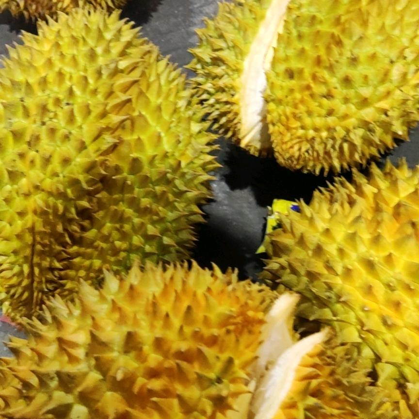 上林我就是我