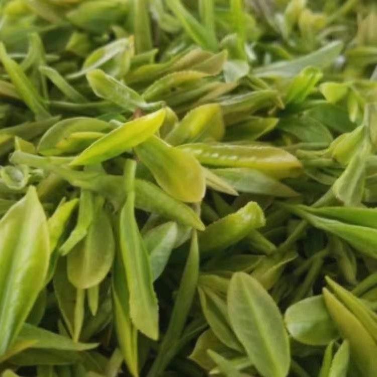好禾茶