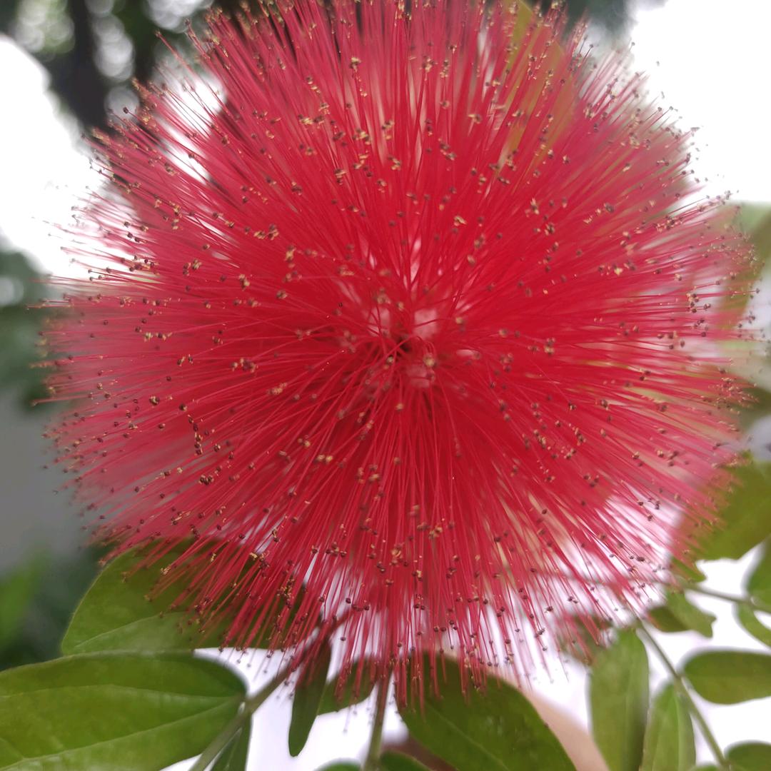 快乐宝贝😊😊