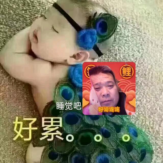 滑濮两岸张哥