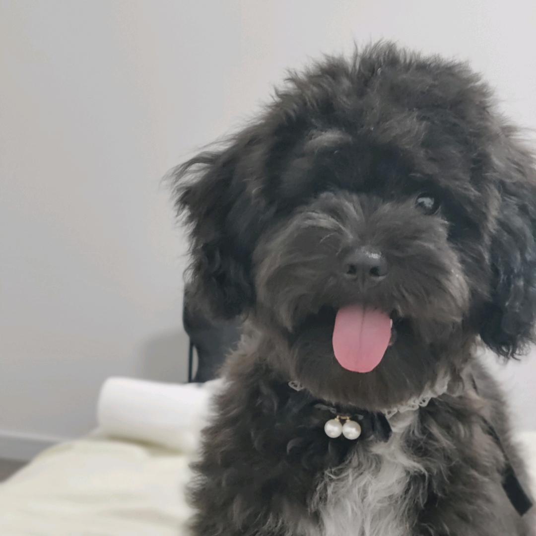 两眼泪旺旺
