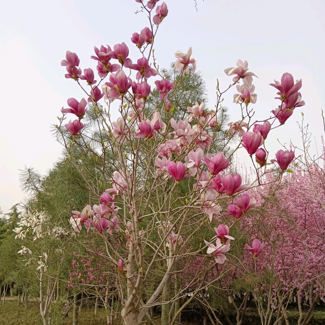 @通讯录好友🐥