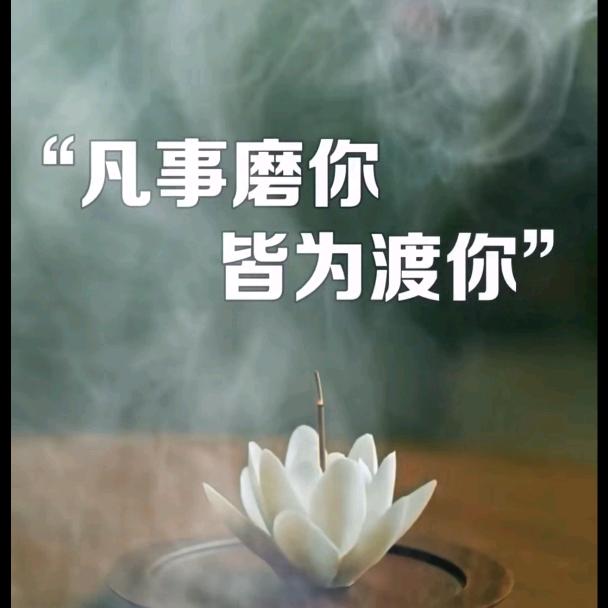 💖珍惜💖