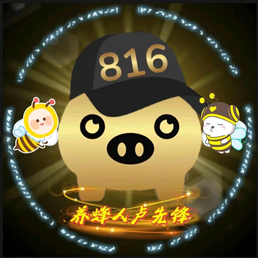 神仙岭养蜂人-卢先锋⁸¹⁶