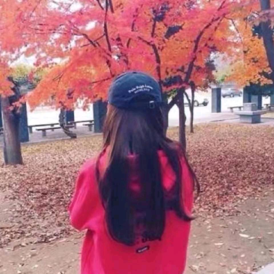 凤凰（彩峰家政服务）