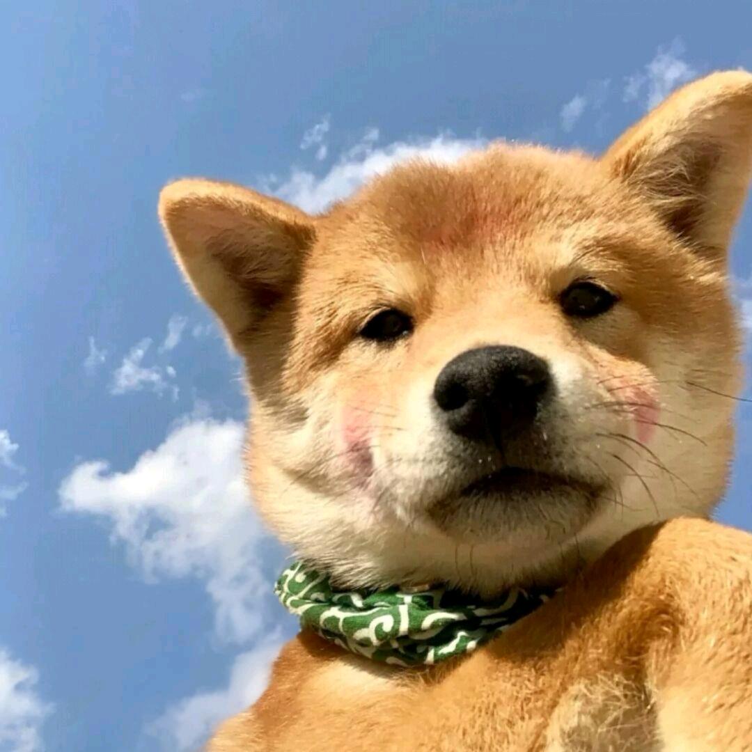 简单点