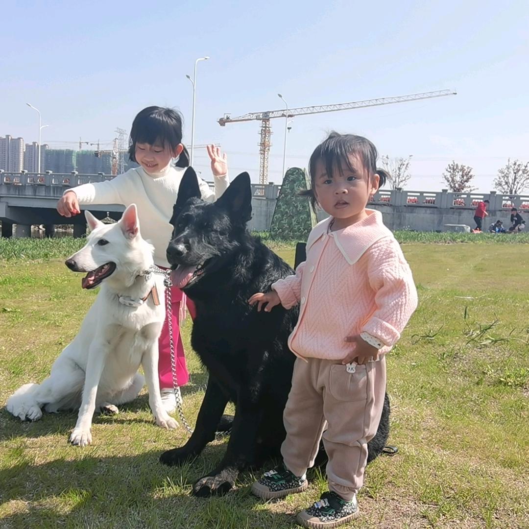 李公子逛着玩
