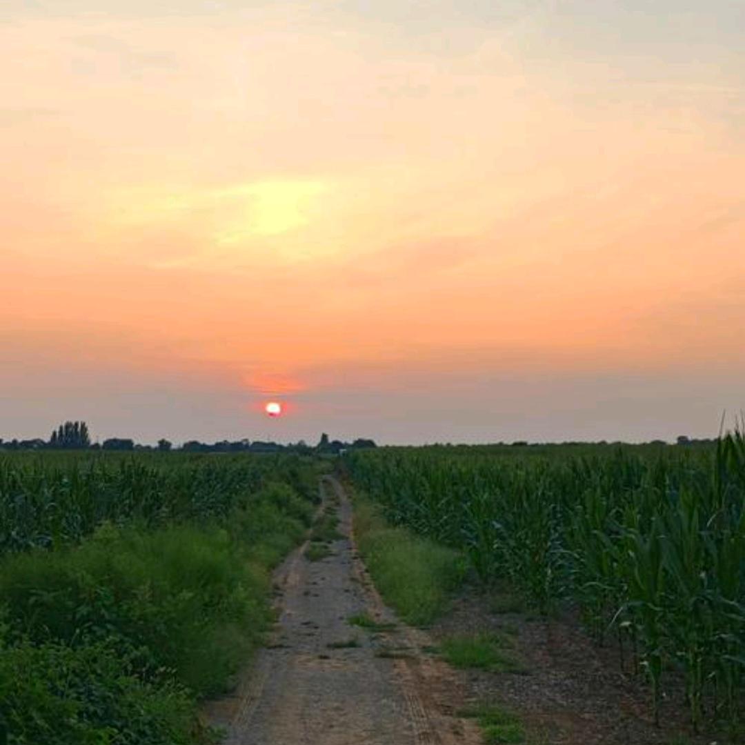 🇨🇳艾🇨🇳维🇨🇳Avia