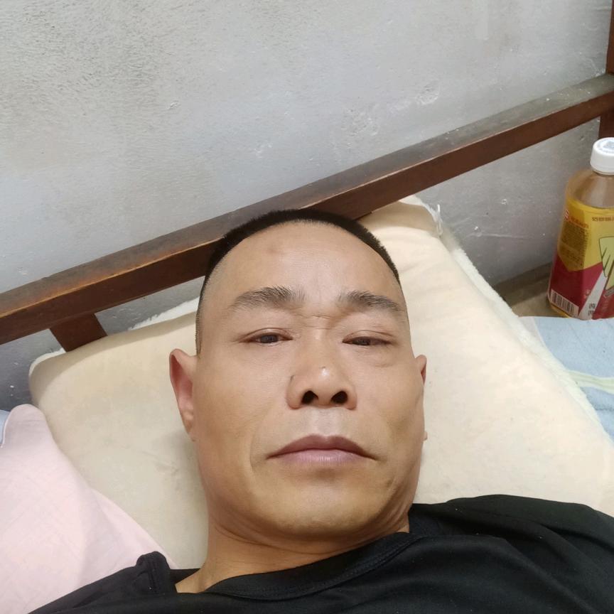 龙飞风舞
