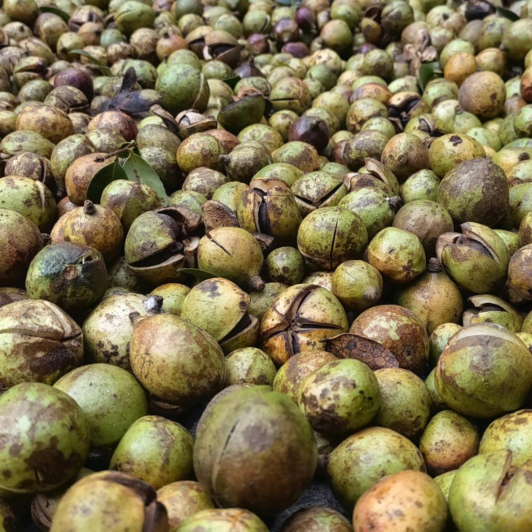 花果同期农副产品商行