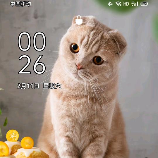 :熬夜修仙