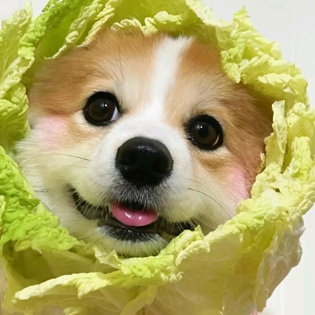 趣解奇妙生灵Nature