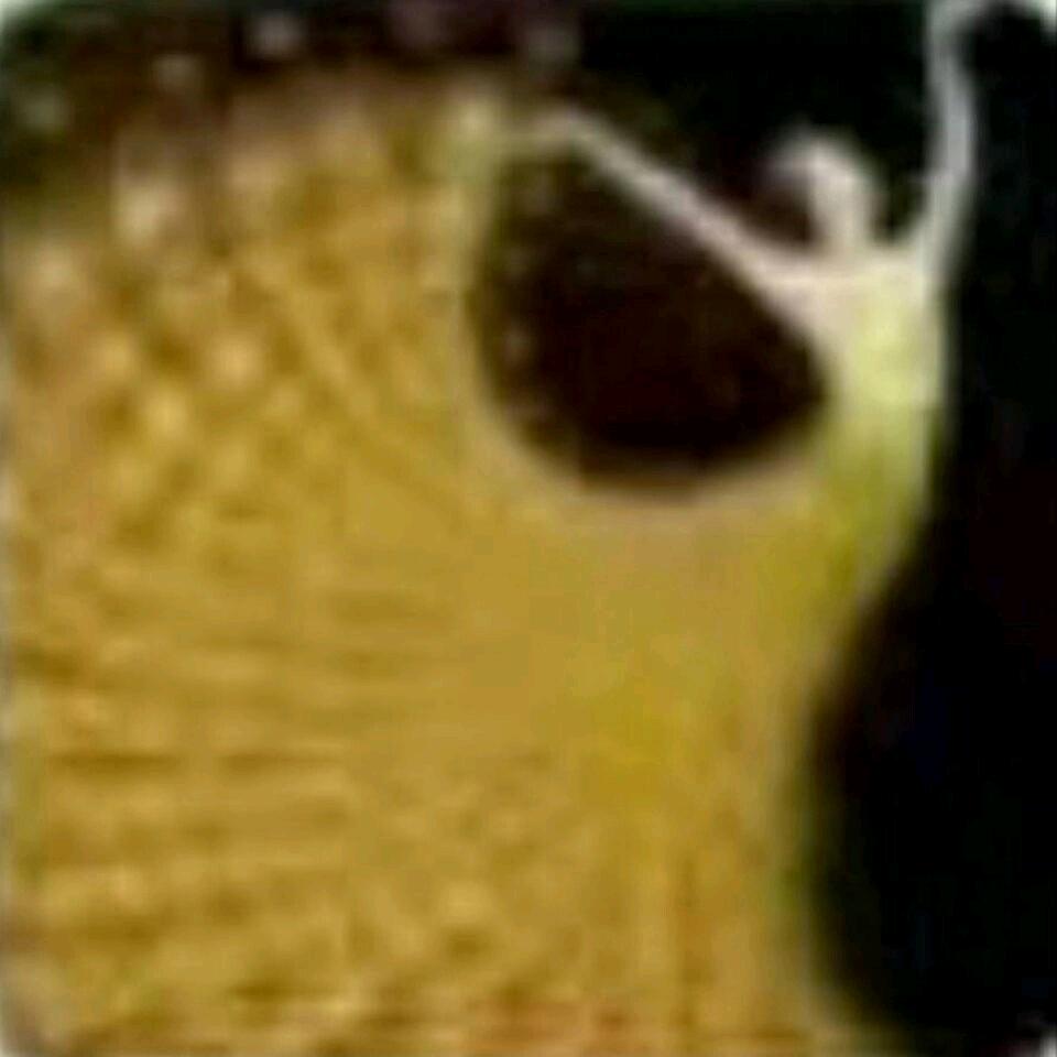 雅丽