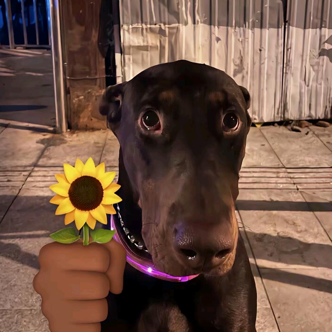 乞丐（三角洲行动）