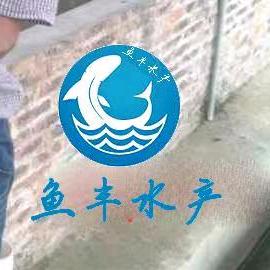 广州鱼丰水产