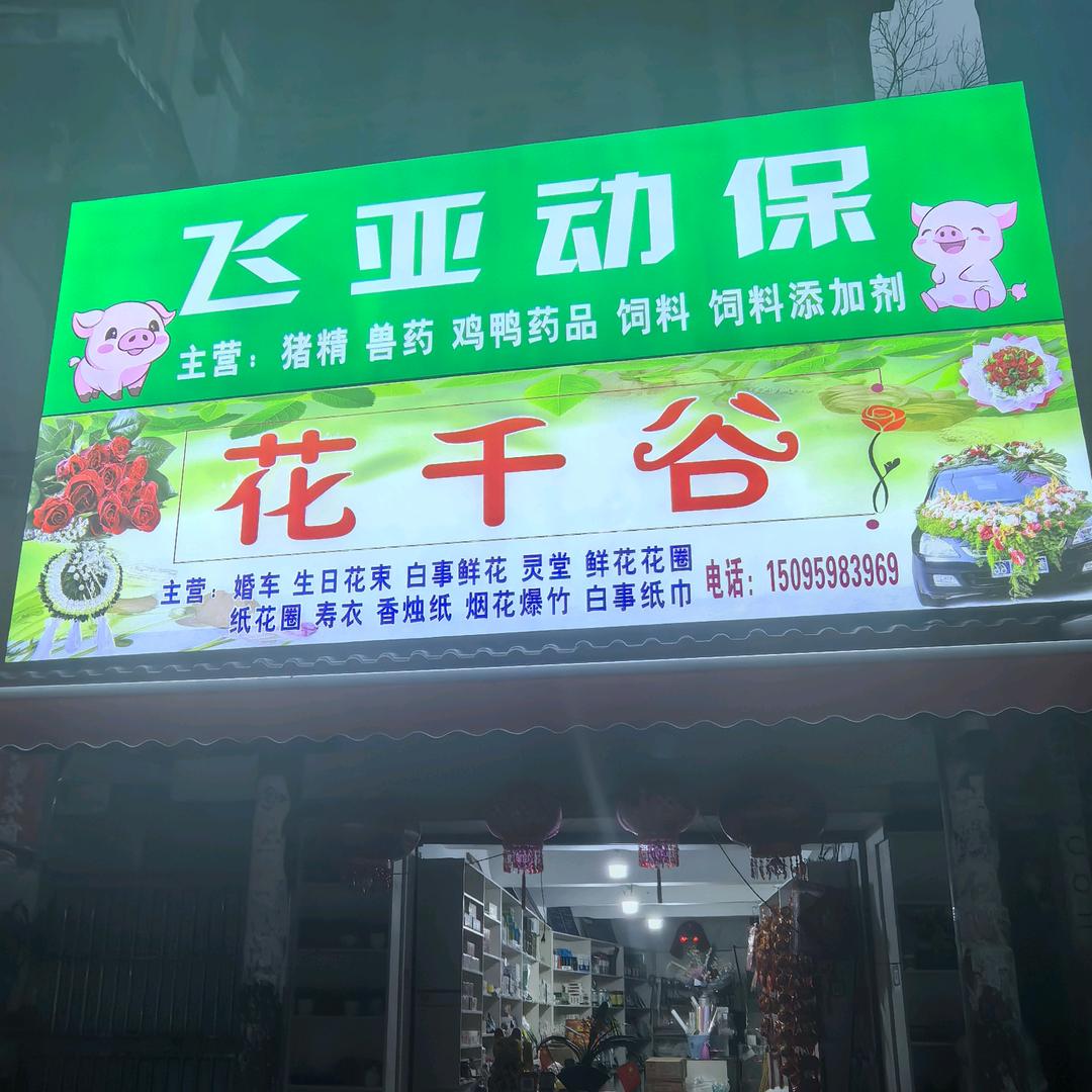 花千谷动物医生《吴小燕》