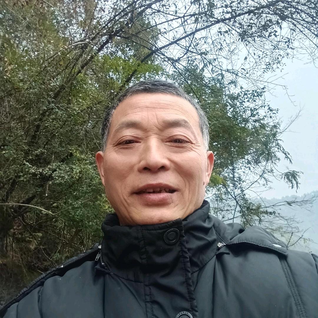 张艳绿