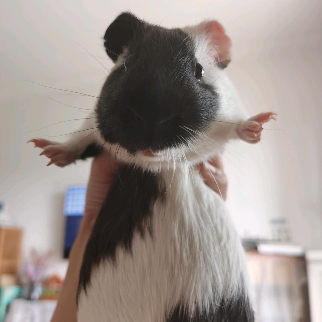 略略略