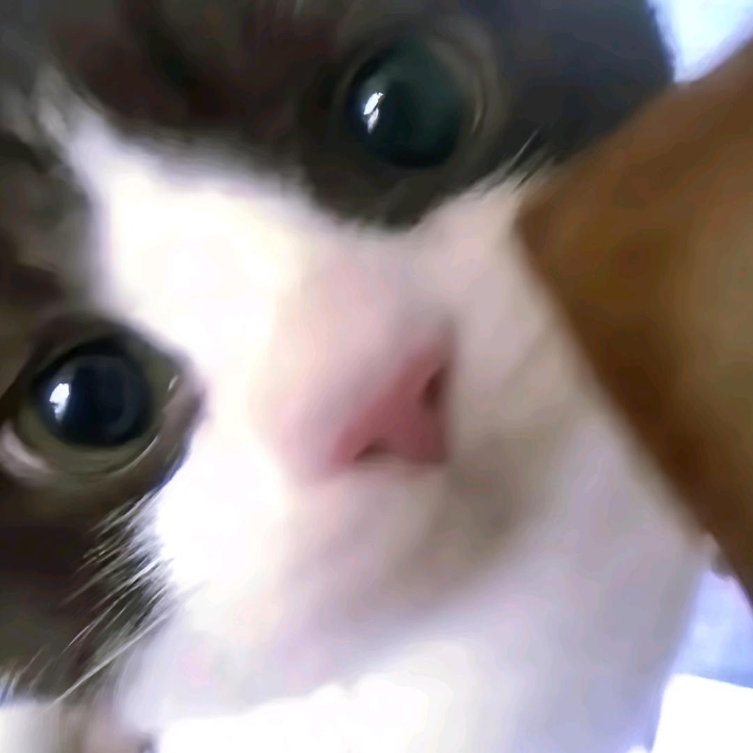 高手