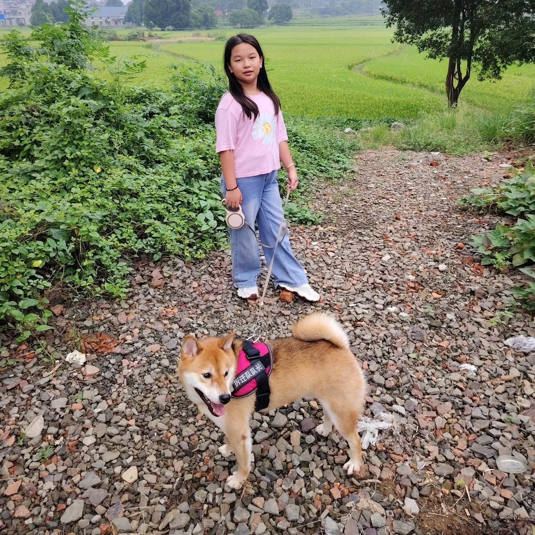 懿懿贝贝