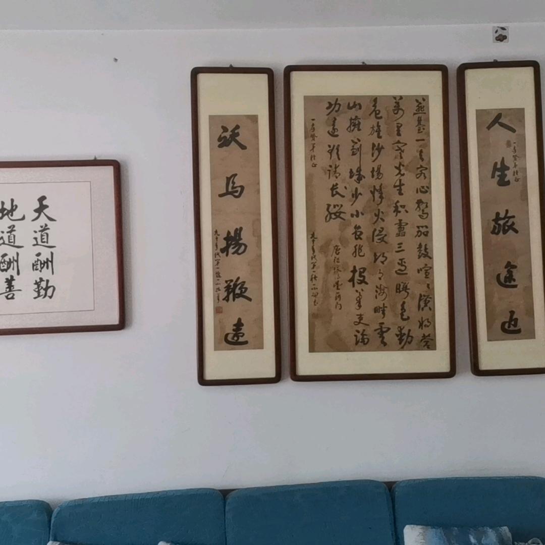 老马哥