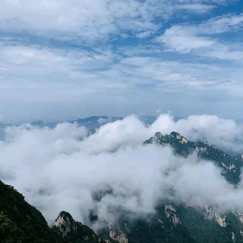 沙漠里的一滴水