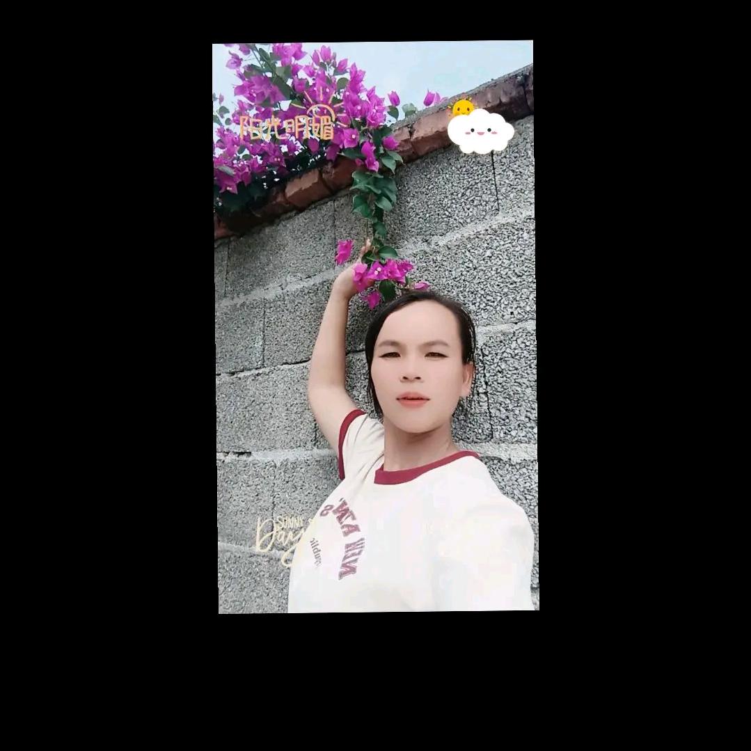 🌹🌺🌷🌼🌸💐🌻😭爱你单身