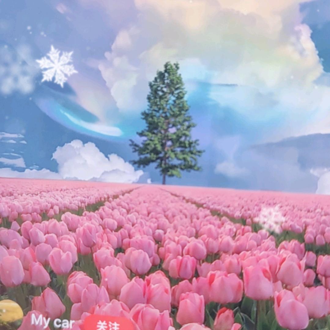 天天向上每一天
