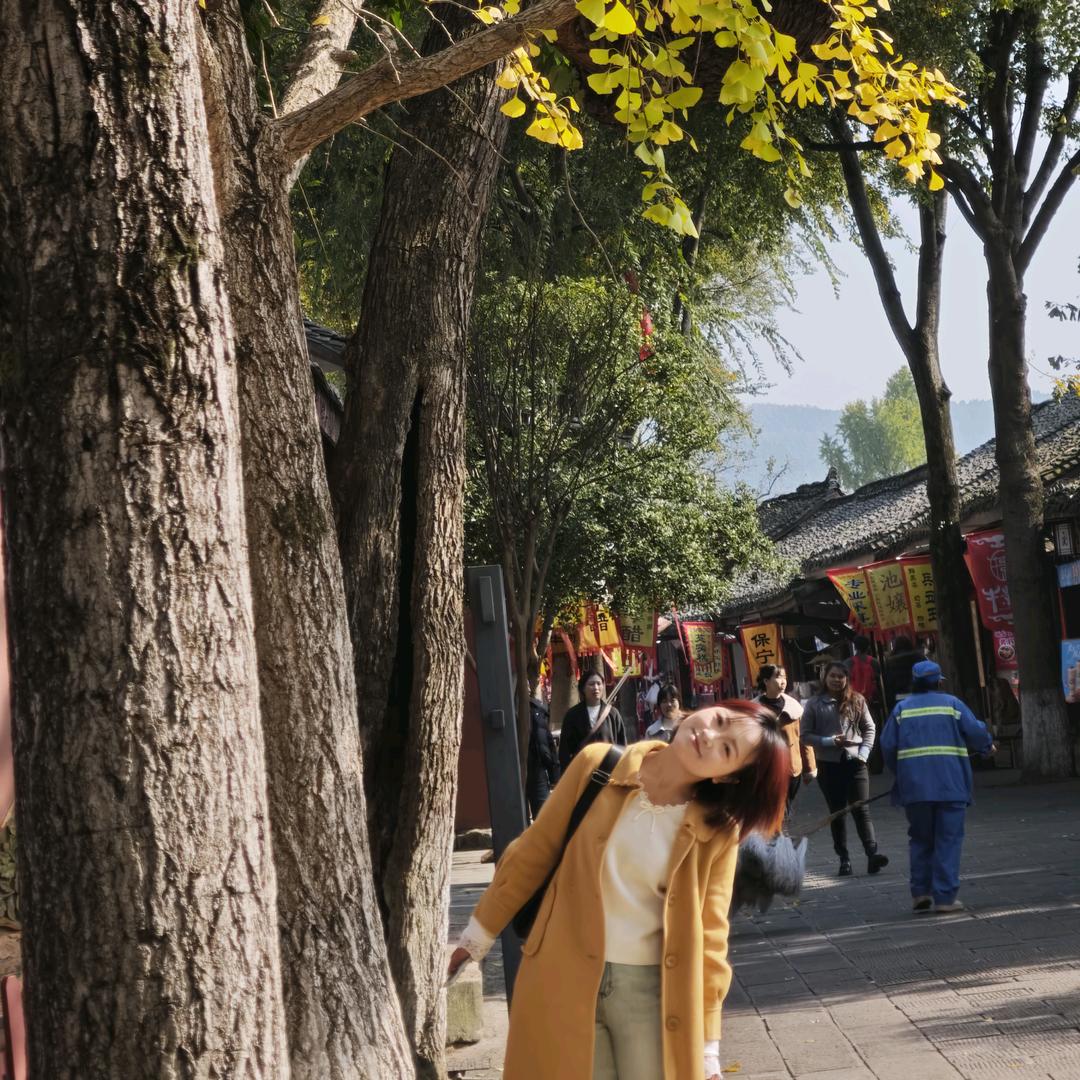 小坤坤的日常