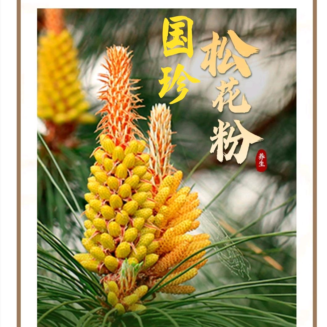 国珍荐康客