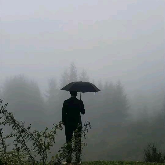 张珂铭