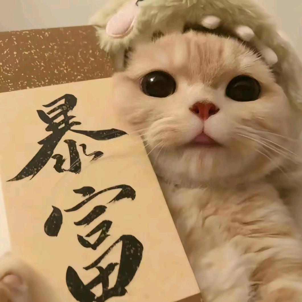 睡不着的蜗牛🐌