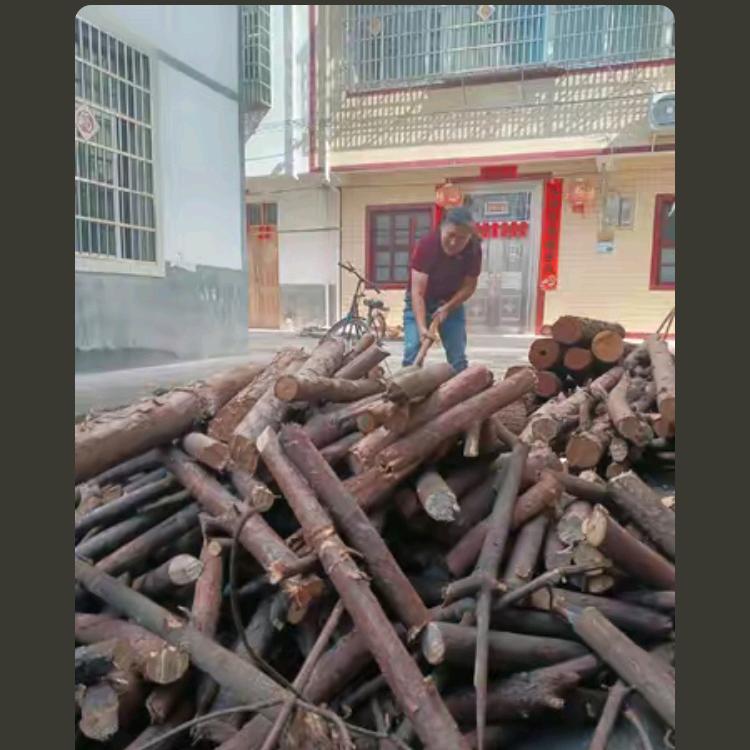 华子听歌直播