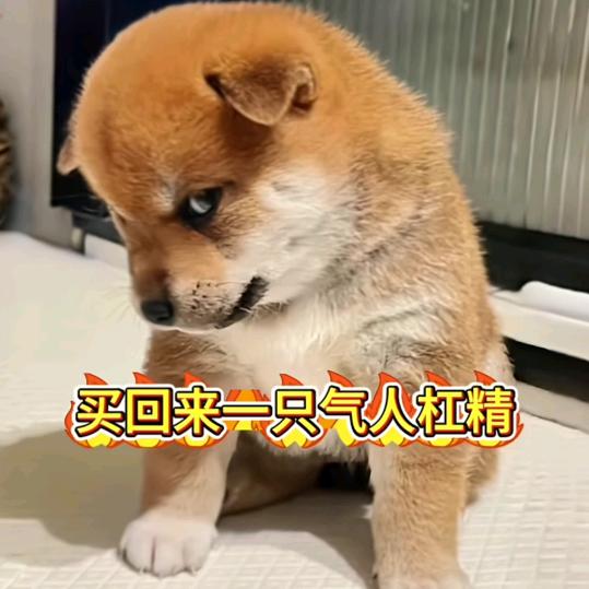 回关