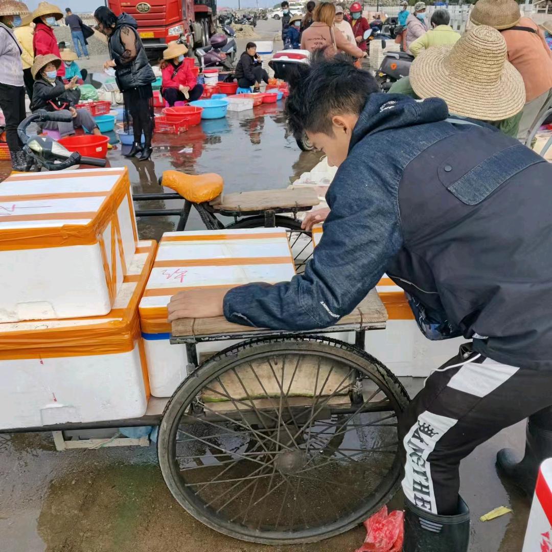 湛江小许