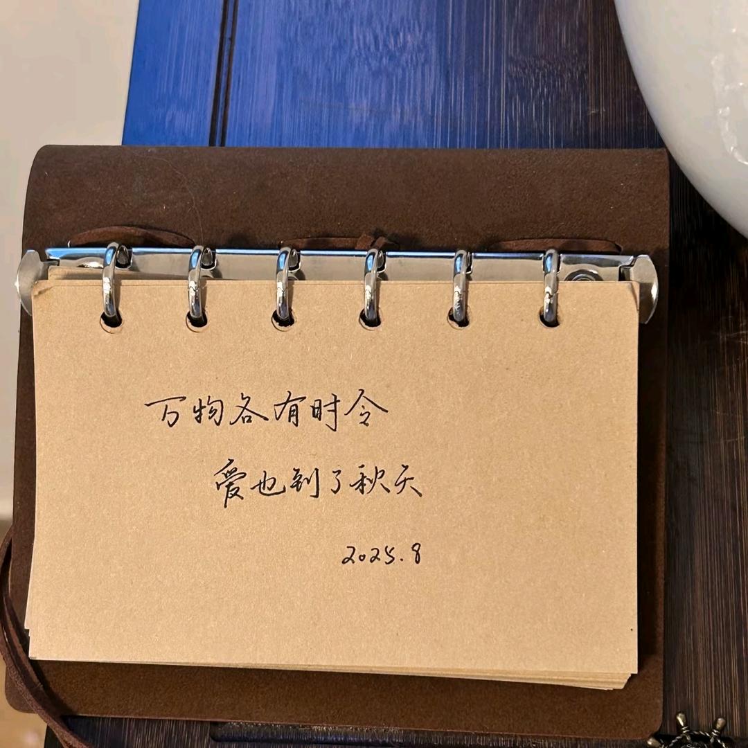 涂涂小兔