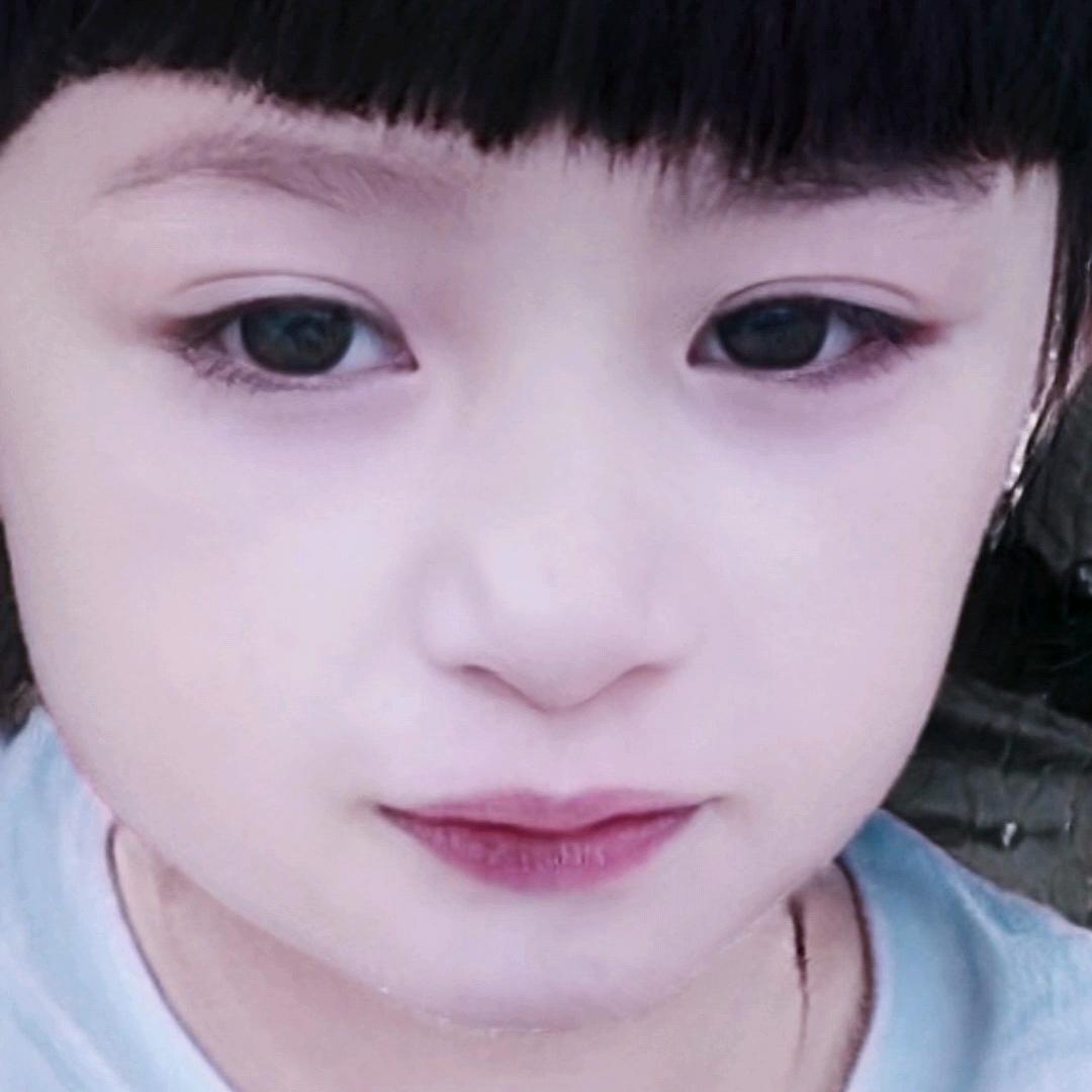 木各木各